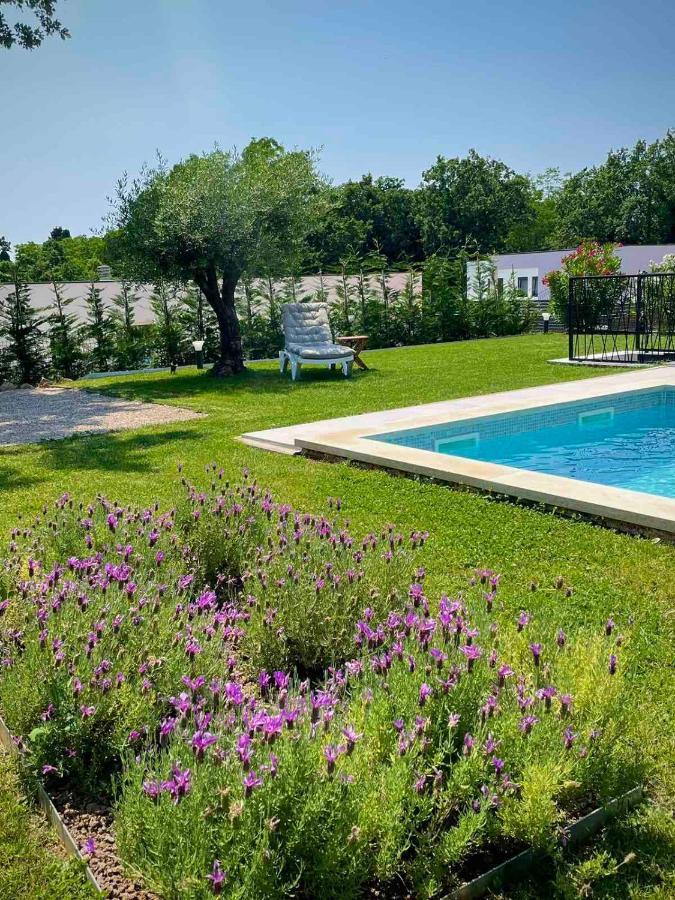 Villa Destiny Nedescina, Istrien, Kroatien Экстерьер фото